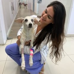 Júlia Almeida veterinária nefrologia
