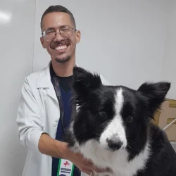 Luan Aleksander Ângelo Silva veterinário hematologia meu pet e companhia