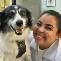 myllena-jeronimo-medica-infectologista-veterinaria