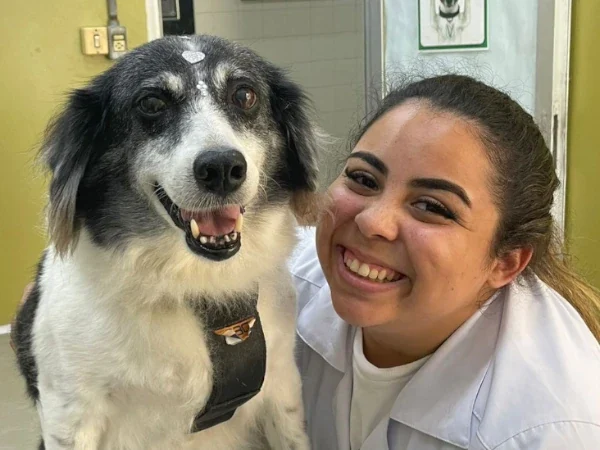 myllena-jeronimo-medica-infectologista-veterinaria